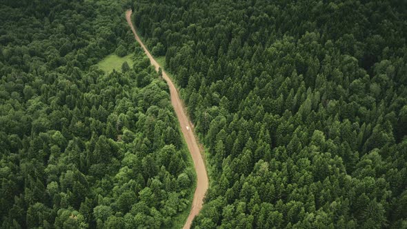 Green Fir Forest at Mountain Road with Cars Top Down Aerial