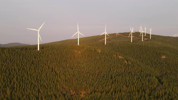 Aerial shot of a wind farm