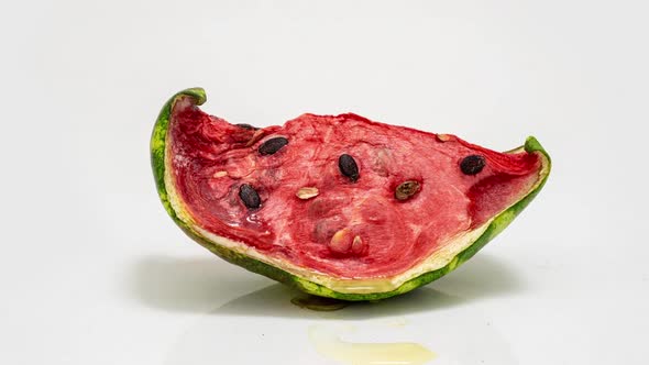 Piece of Ripe Watermelon Rots on White Background, Time Lapse, Educational Cognitive Video