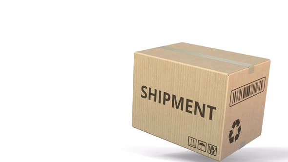 Carton with SHIPMENT Text