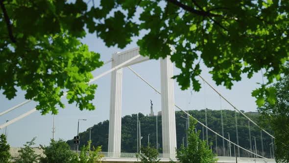 Elisabeth Bridge seen behind green branches