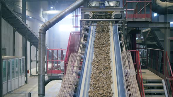 Plant Conveyor Moves Rubble in a Facility