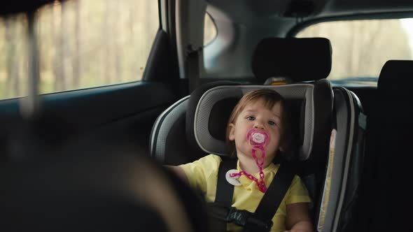 Baby Travelling in a Car Seat