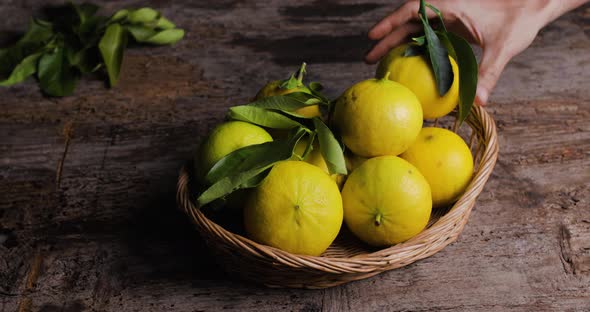 Bergamot Orange Fruit of Calabria into a Bakset