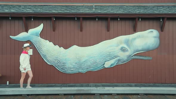 Slow Motion of Confident Attractive Woman Walking Along Wall with Whale Picture