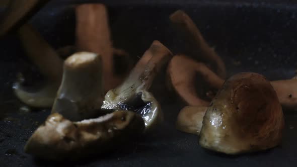 Mushroom in the Pan