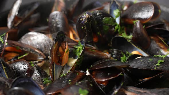 Mussels 19