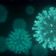 Virus - VideoHive Item for Sale