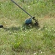 Professional handheld grass trimmer for cutting grass in the field - VideoHive Item for Sale