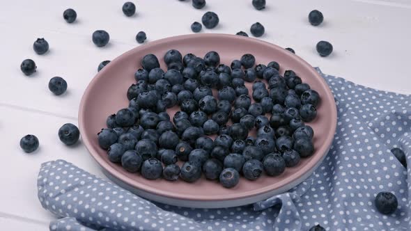 The Blueberry Fresh Berries on the Ceramic Plate on the White Background