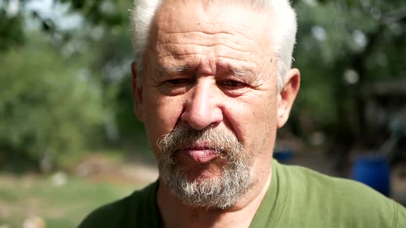 Portrait of a Cheerful Bearded Man on a Light Green Background