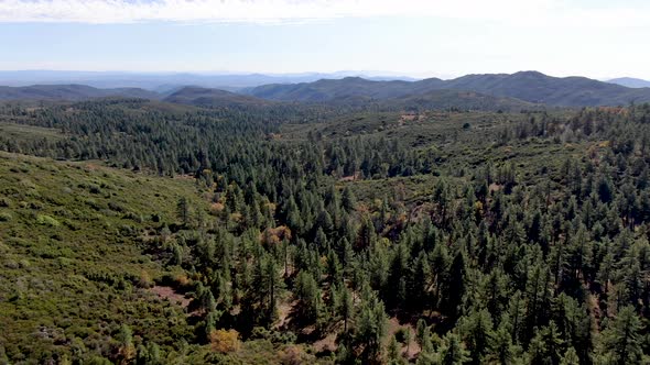 Pine Valley During Dry Fall Season, California