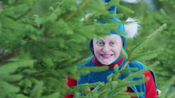 Christmas elf smiling behind branches