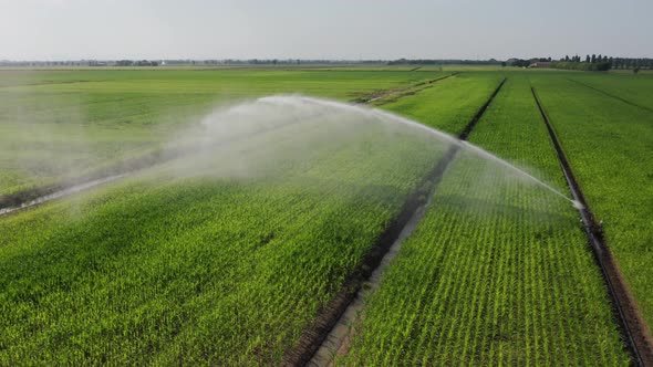 Drone view of agricultural water sprinklers watering green fields