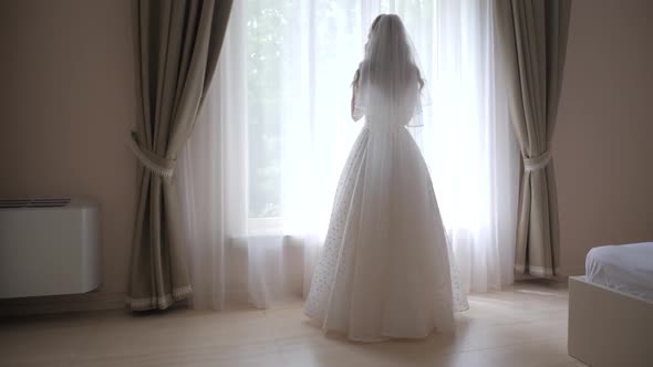 The View From the Back of a Beautiful Bride with Long Hair in a Beautiful Dress That Opens the