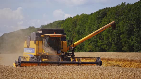 Harvester machine on wheat field. Agricultural cereal harvest with combine harvester