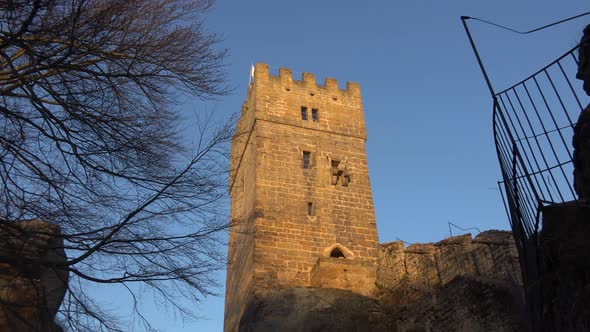 A View From Below of an Old Castle , Leave Less Tree on the Side.