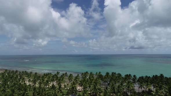 Brazilian Northeast beach landmark. Tropical summer beach.