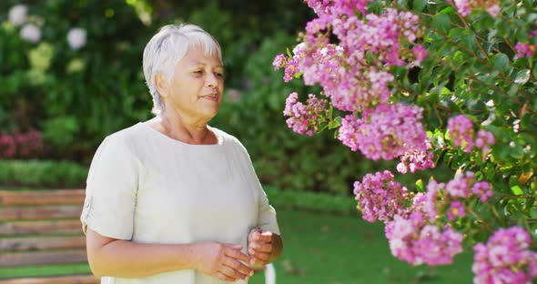 Video of happy biracial senior woman smelling flowers in garden