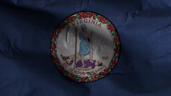 Virginia State Flag 4K