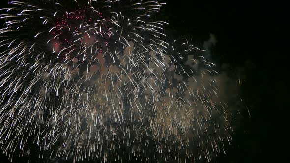 Colorful Firework display at night on sky background