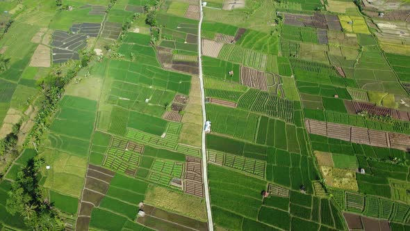 Aerial drone footage of green farmland