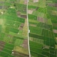 Aerial drone footage of green farmland - VideoHive Item for Sale