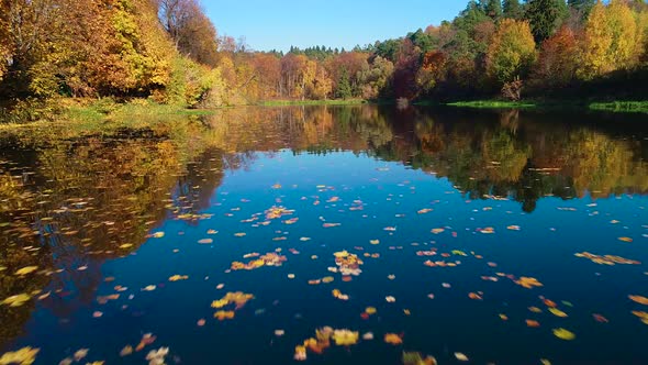 Colorful Autumn Forest Wood on the Lake