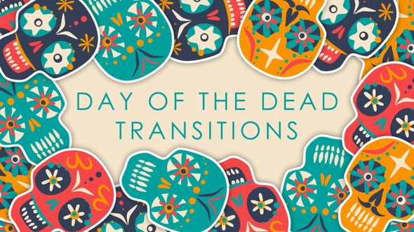Day Of The Dead Transitions
