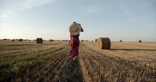 The Girl Walks Across The Field Among The Collected Sheaves Of Hay