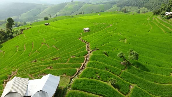 Rice field terrace on mountain agriculture land.