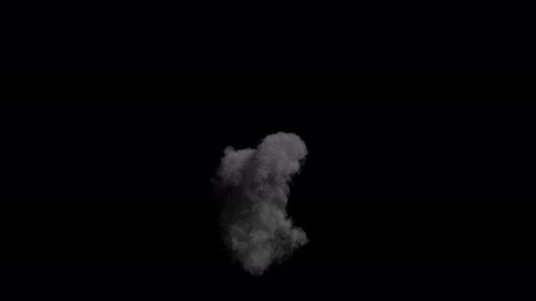 Smoke Steam 4K