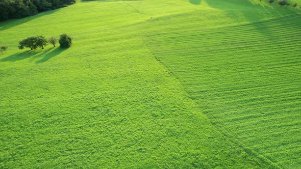 Aerial Landscape View of Ideal Green Fields in Liechtenstein Alps at Sunset