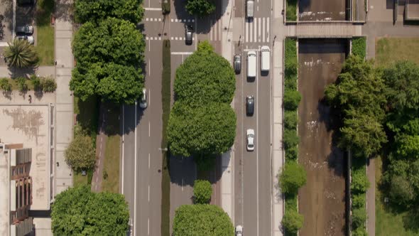 City street traffic of San Sebastian with green vibrant trees, top down aerial view