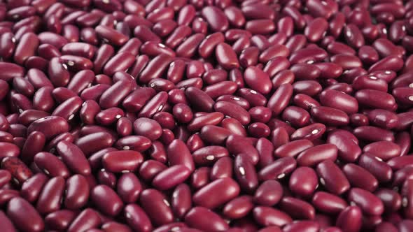 Raw red organic kidney beans close up