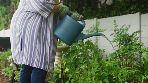 Video of happy plus size african american woman watering flowers in garden
