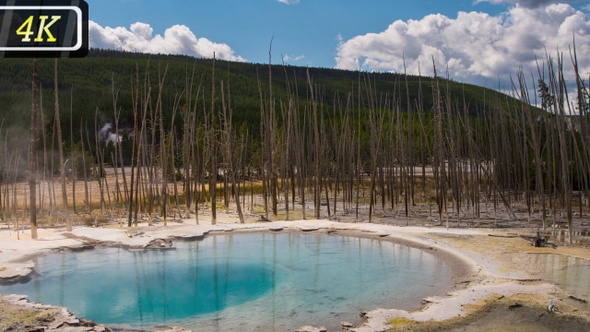 Hot Water Spring in Yellowstone