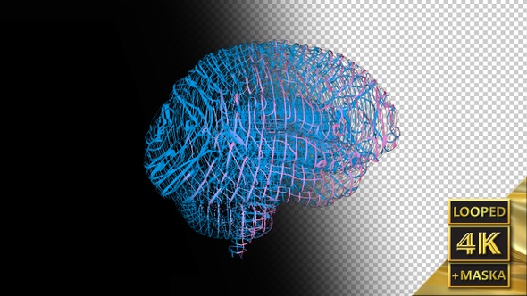 Computer Model of the Human Brain alt