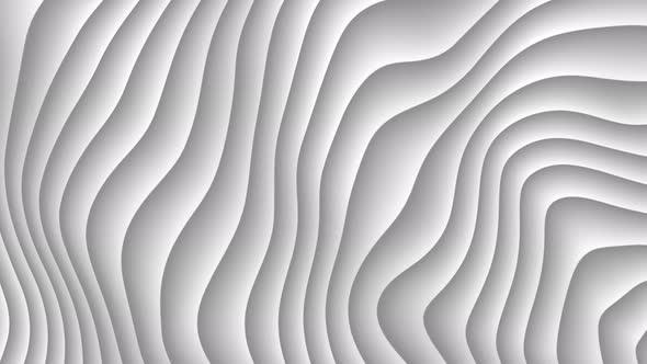 White Background. abstract wave