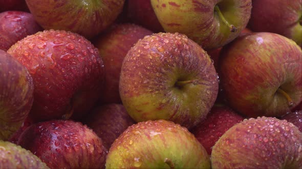 Due to the presence of phytochemicals in apples, they have gained special importance in the human bo