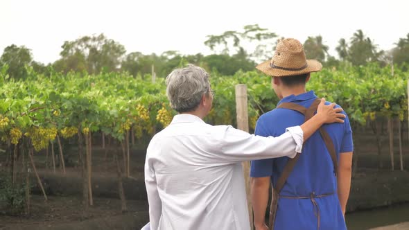 Back view of father and son standing together and looking at grapes on vineyard