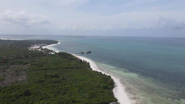 Thickets on the Coast of the Island of Zanzibar Tanzania Slow Motion