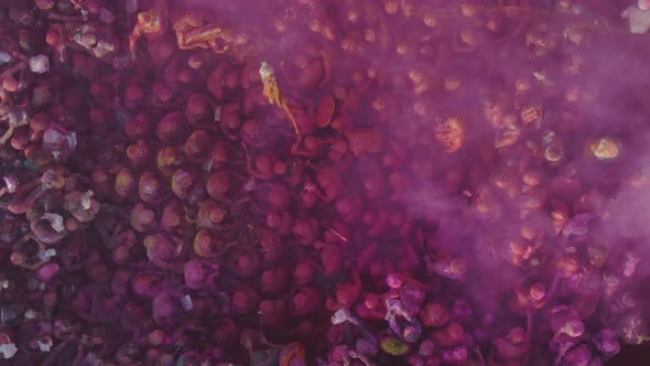 Color battle at the holi festival in India, 4k aerial shot