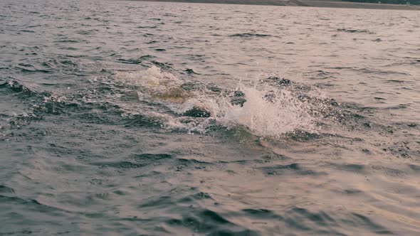 A Man Is Professionally Swimming Through the Sea