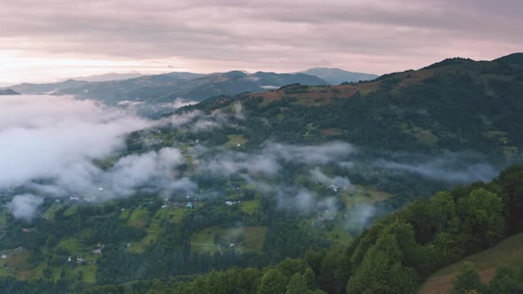 Mountain Forest in Morning Fog Aerial Landscape Above Lush Green Pine Trees and Rain Clouds