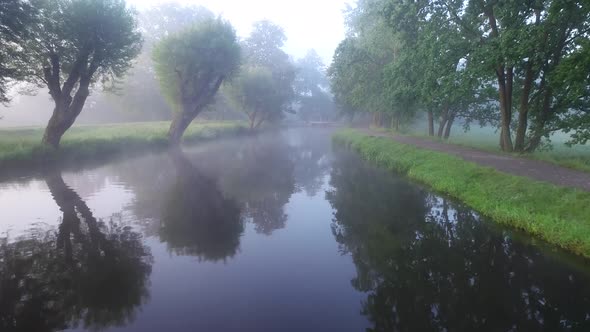 River and Trees Shrouded in Fog 