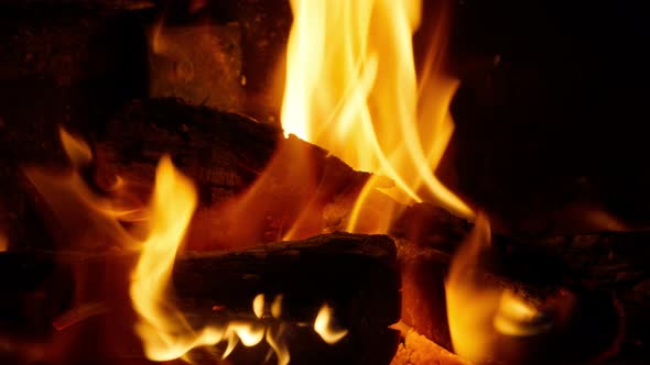 Bright Flame of Burning Bonfire in Dark Background on Summer Night Outdoors alt