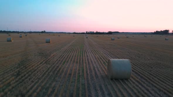  Field With Hay Rolls Sunrise. Hay Bale Rolls in the Field 4k Aerial Dron Shot