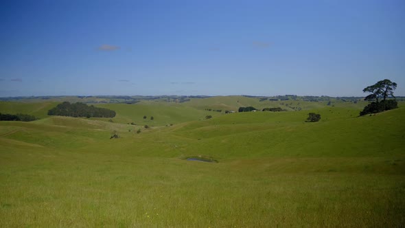 Green rolling hills in South Gippsland Victoria Australia.