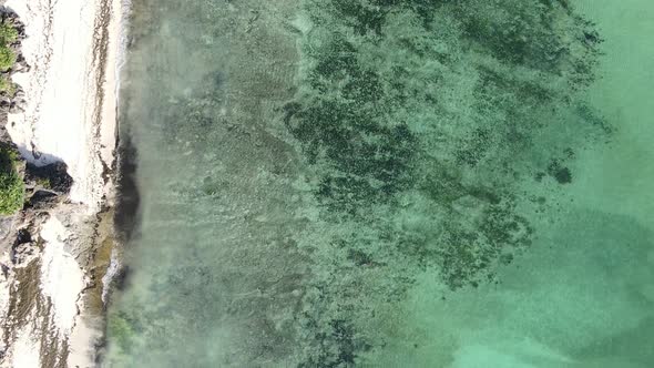 Vertical Video of the Ocean Near the Coast of Zanzibar Tanzania Aerial View